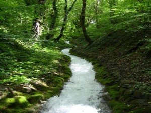 cours d'eau