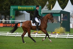 Crédit Photo Les Garennes pour le Mondial du Lion /Kai Ruder & Colani Sunrise, second au classement provisoire des 7 ans après l'épreuve de dressage 