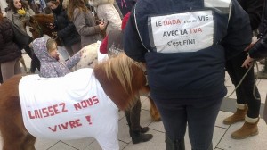 Angers: Plus 600 personnes disent Non à "L'Equitaxe"