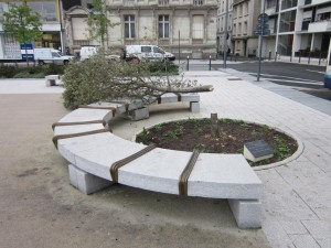 L'arbre de la Laicité, place Lorraine à Angers