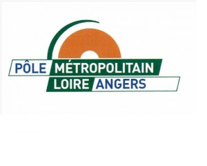 logo pole métropolitain