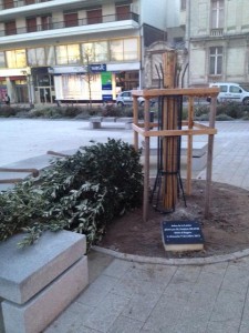 L'arbre de la Laicité, une nouvelle fois décapitée, cette nuit, place Lorraine à Angers