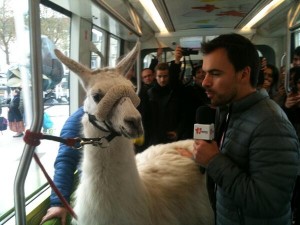 Capture Twitter -  Serge le Lama à bord du tramway angevin