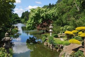 Parc oriental de Maulévrier