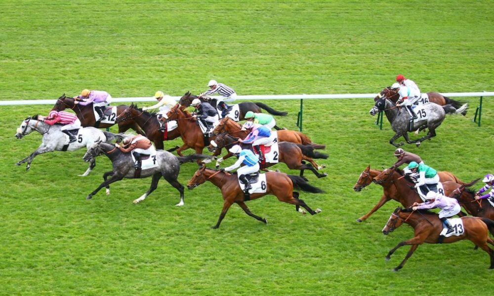 Quinté. Le Prix de Grasse à Cagnes sur Mer ce lundi 5 Février 2024